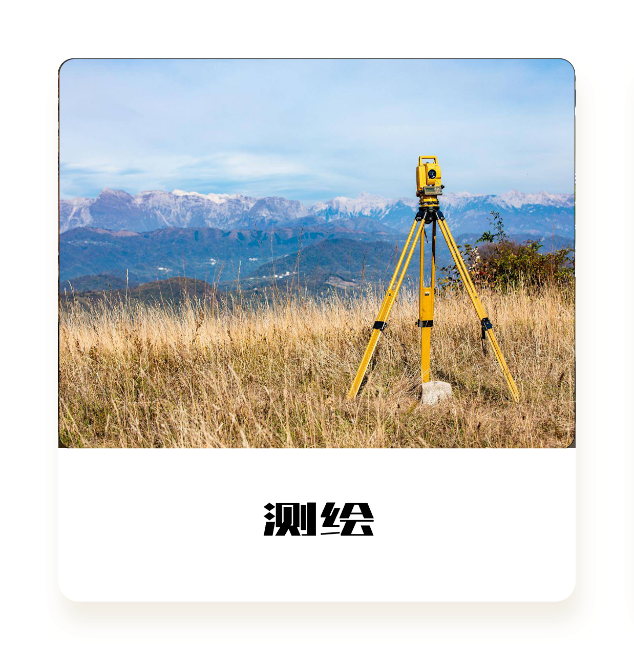 盈蜂城,舒心玛特,上海盈蜂城数字科技有限公司