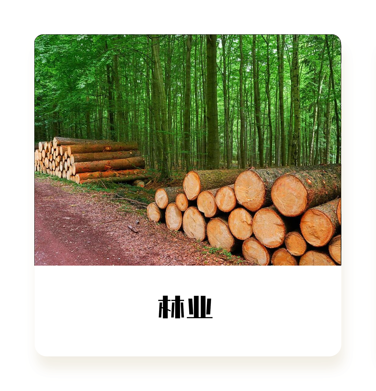 盈蜂城,舒心玛特,上海盈蜂城数字科技有限公司