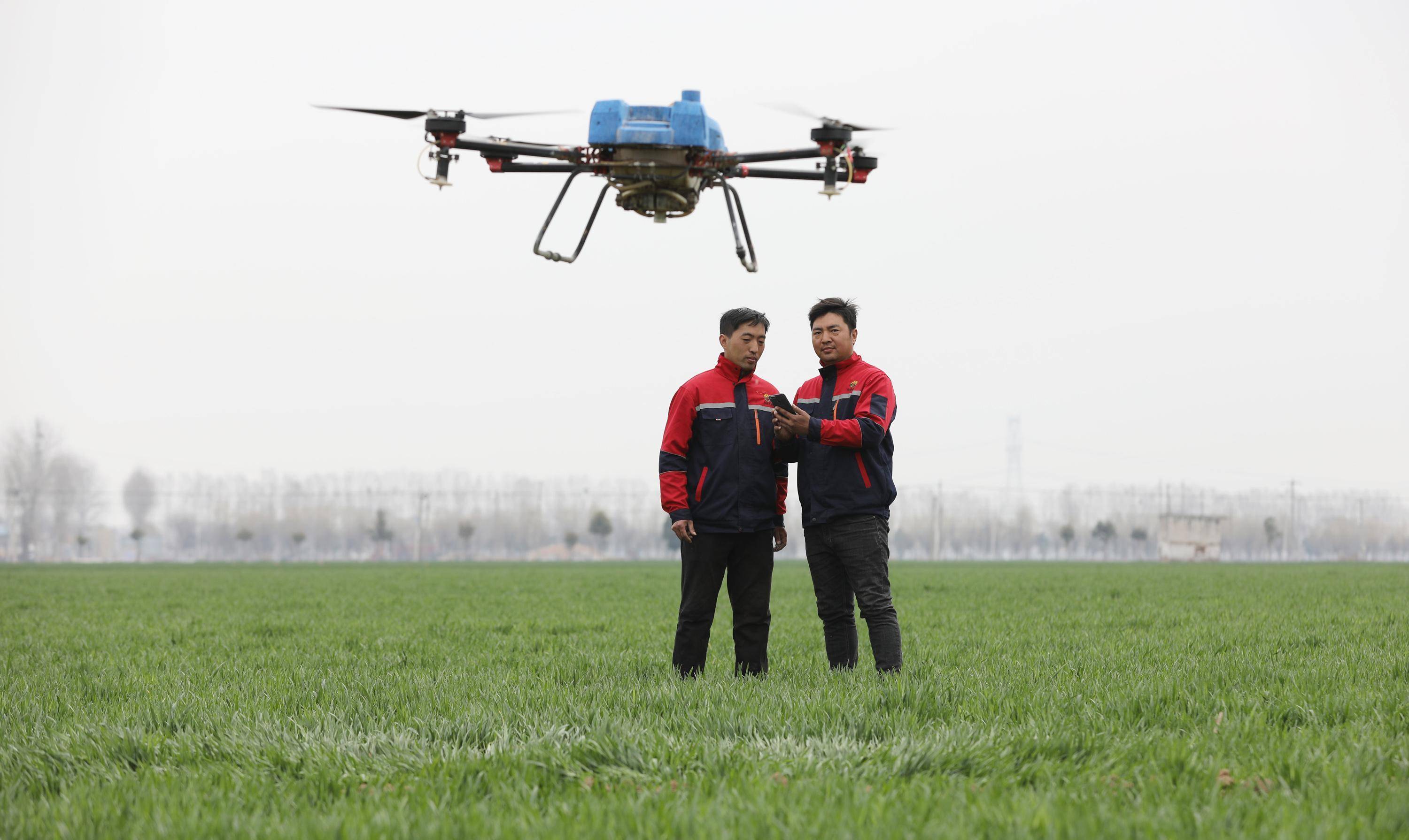 盈蜂城,舒心玛特,上海盈蜂城数字科技有限公司